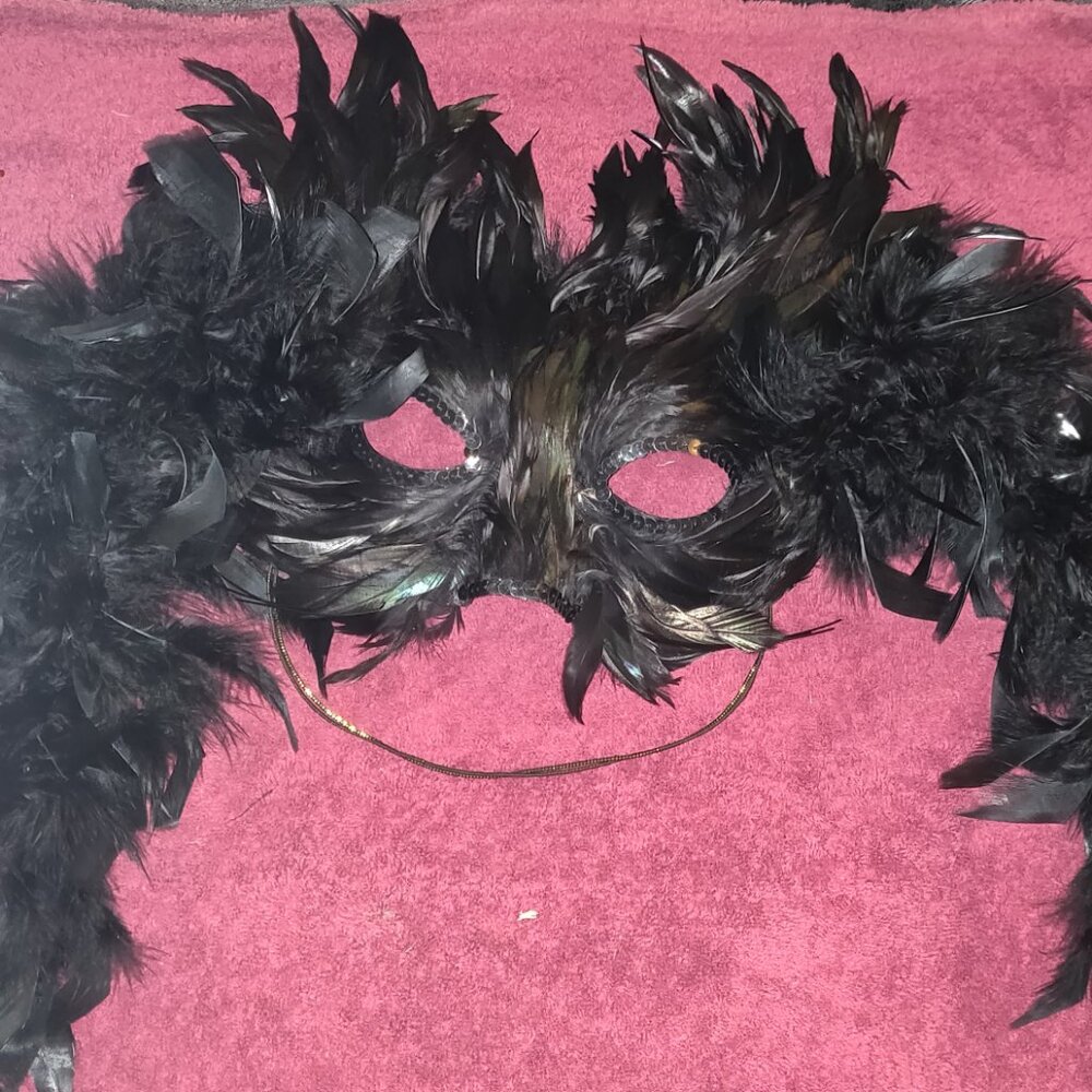 Mardi Gras Black Feathered Masquerade Mask